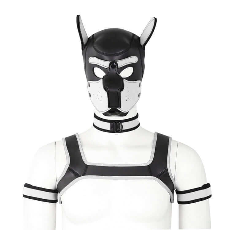 Alpha Pup Hood Kit - White