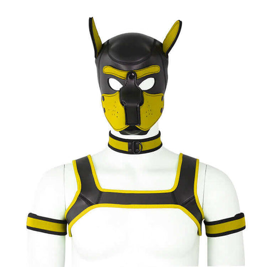 Alpha Pup Hood Kit - Yellow