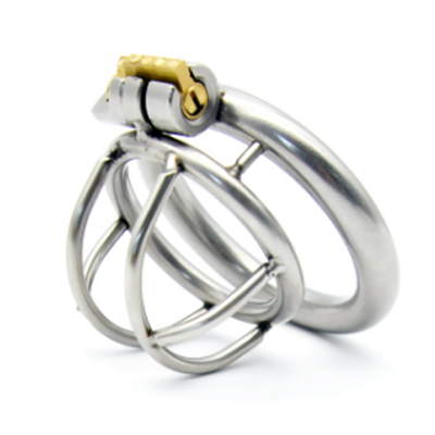 Enclosure Metal Chastity Cage