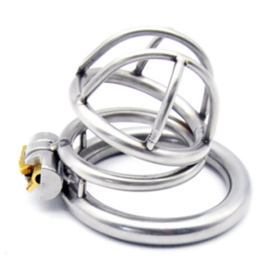 Enclosure Metal Chastity Cage