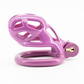 Cobra Purple Chastity Cage - Small