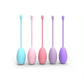 Pastel Kegel Training Set