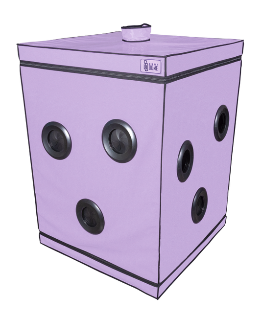 Secret Dome Scandale Cabin - Purple