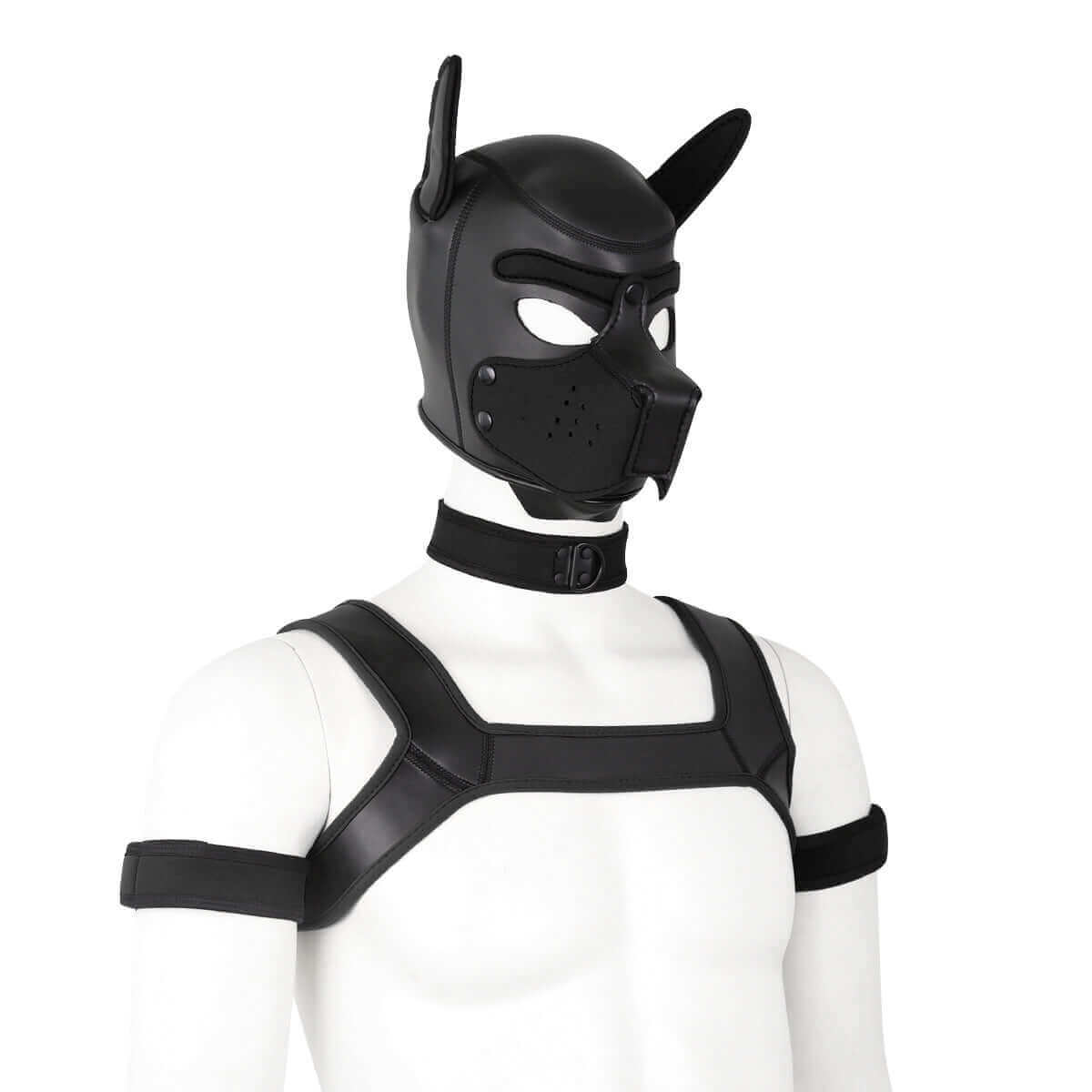 Alpha Pup Hood Kit - Black