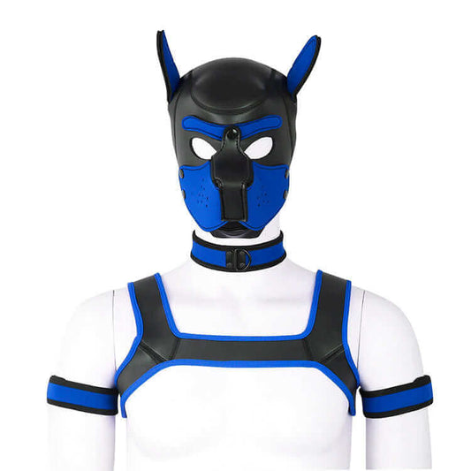 Alpha Pup Hood Kit - Blue