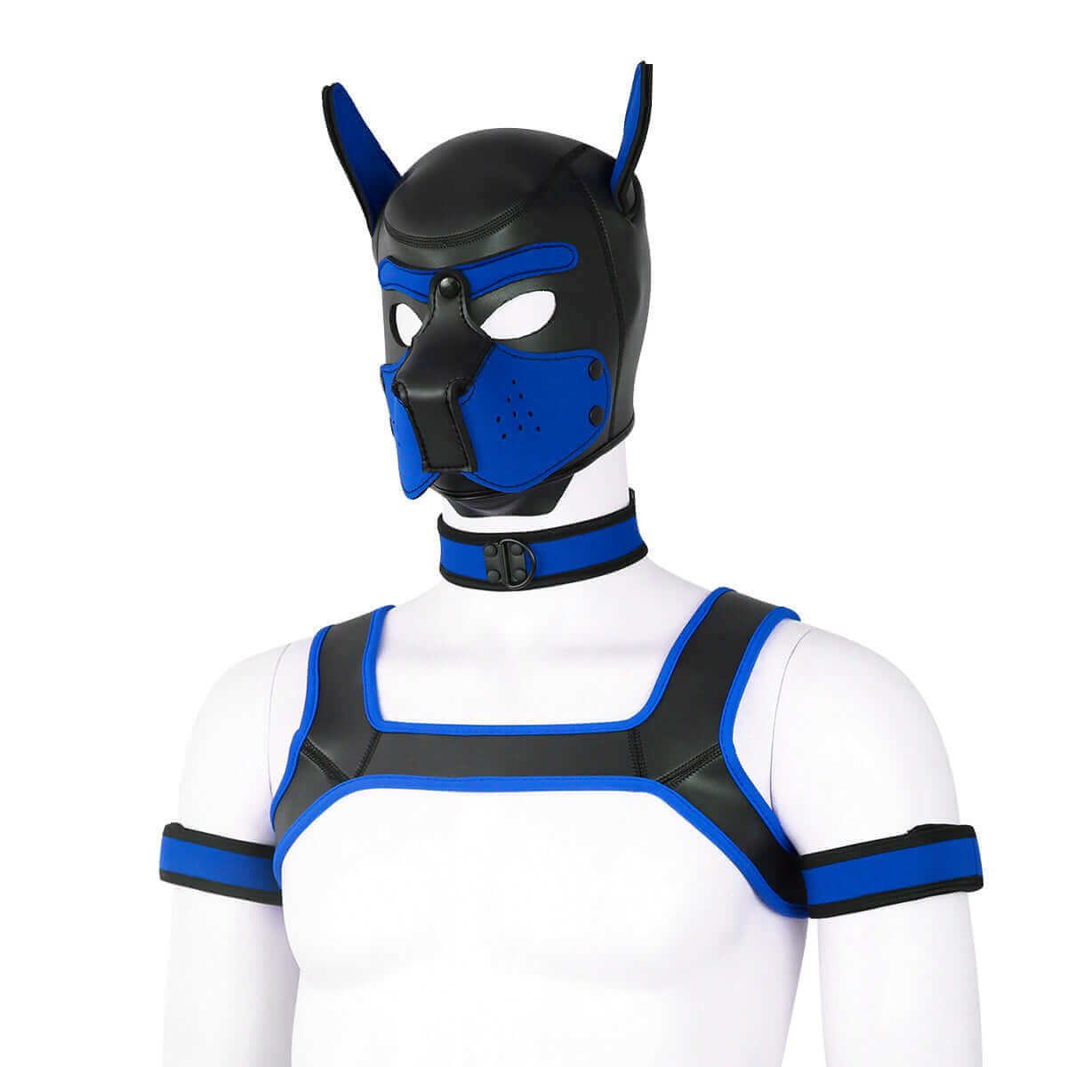 Alpha Pup Hood Kit - Blue