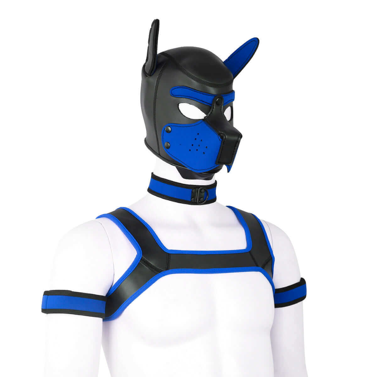 Alpha Pup Hood Kit - Blue