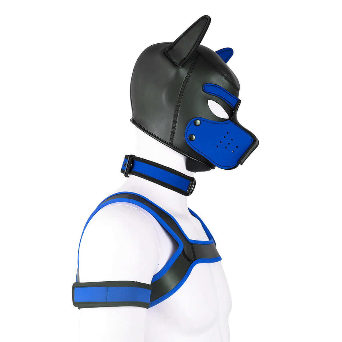 Alpha Pup Hood Kit - Blue