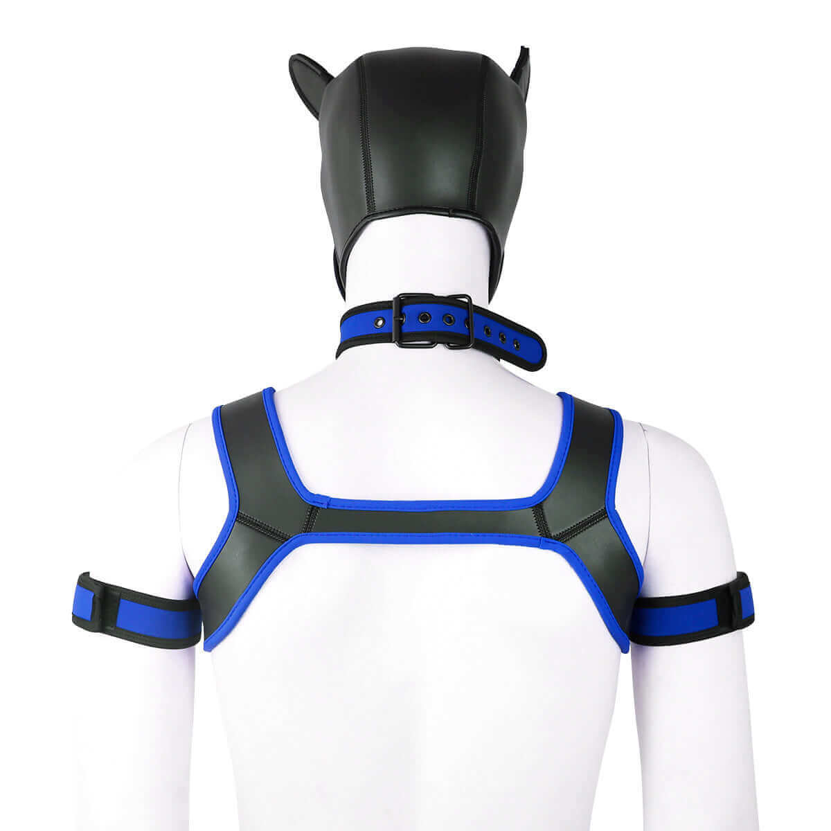 Alpha Pup Hood Kit - Blue