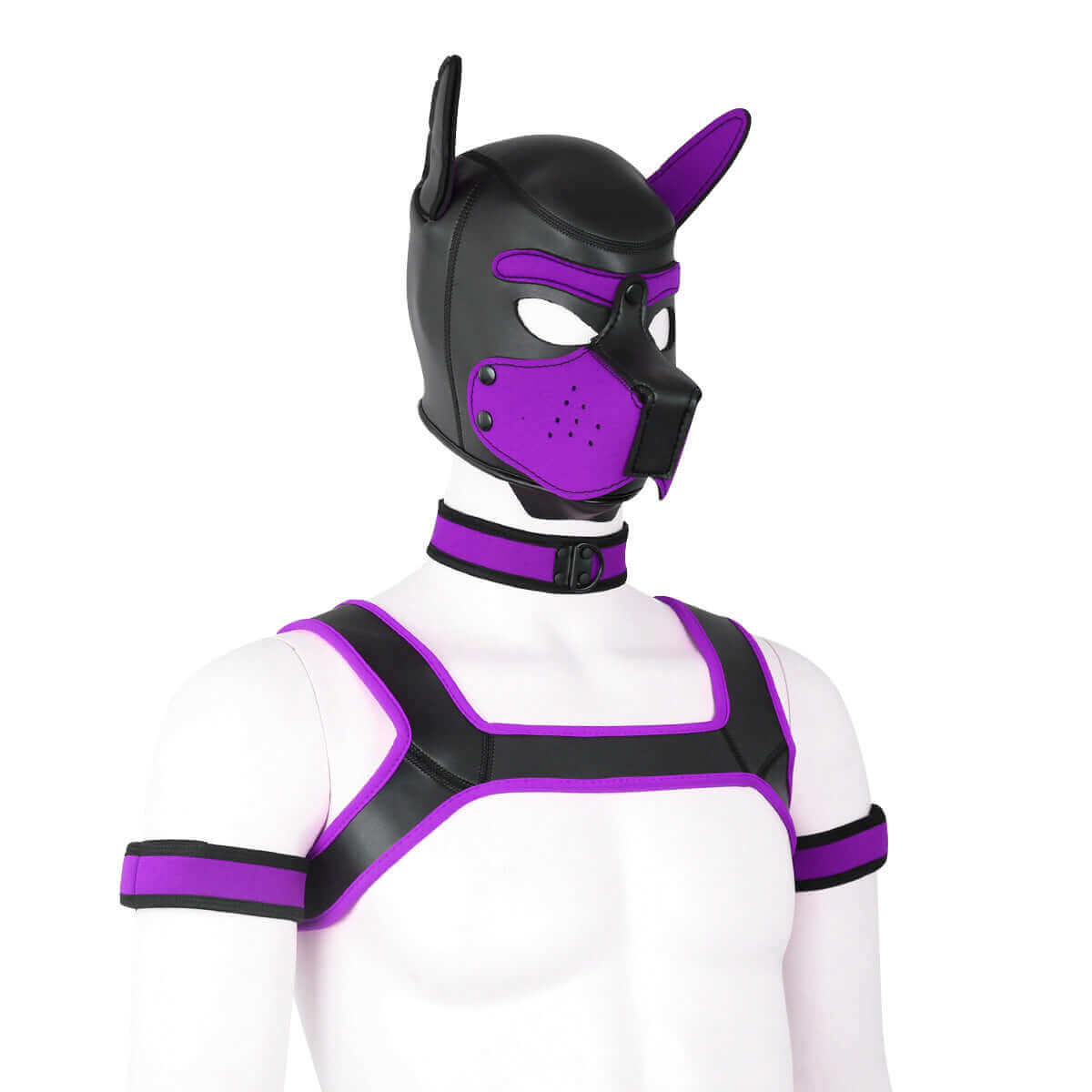 Alpha Pup Hood Kit - Purple