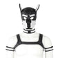 Alpha Pup Hood Kit - White
