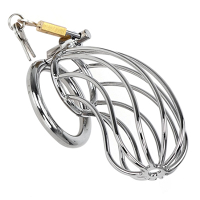 Birdcage Metal Chastity Cage