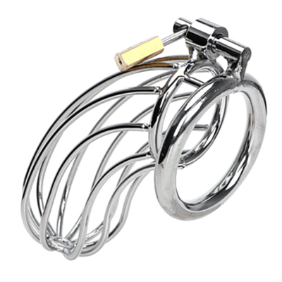 Birdcage Metal Chastity Cage