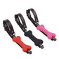 Dog Treat Bone Gag - All Colours