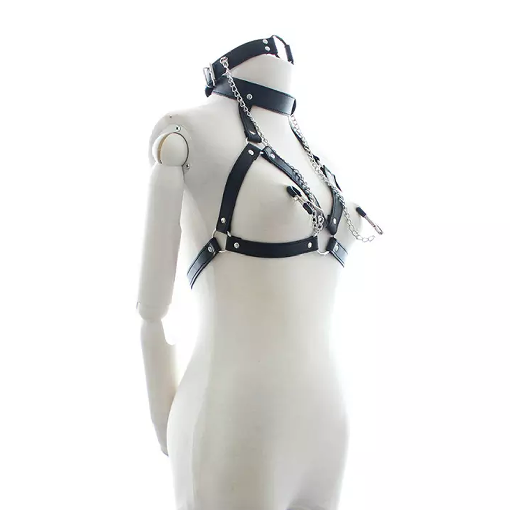 Female Harness and Ring Gag