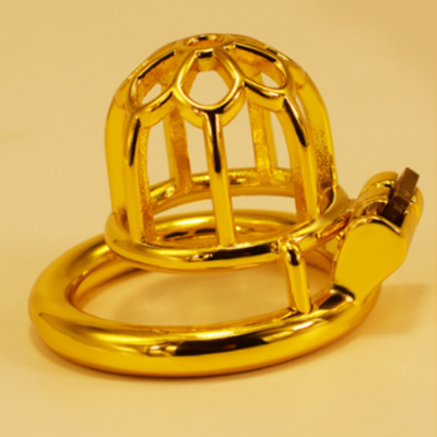 Floral Steel Chastity Cage - Gold