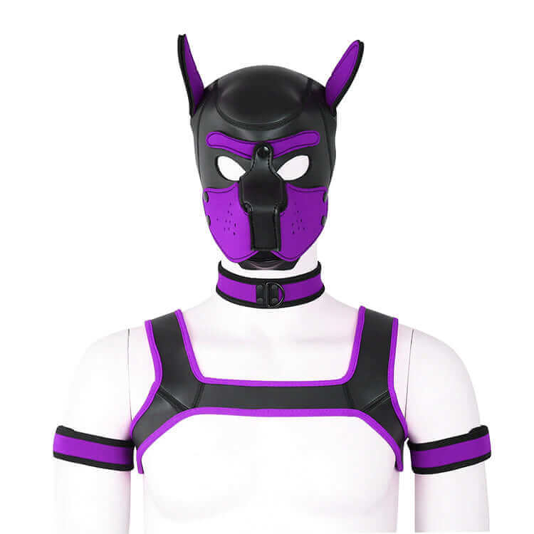 ALPHA PUP HOOD SET - Purple & Black