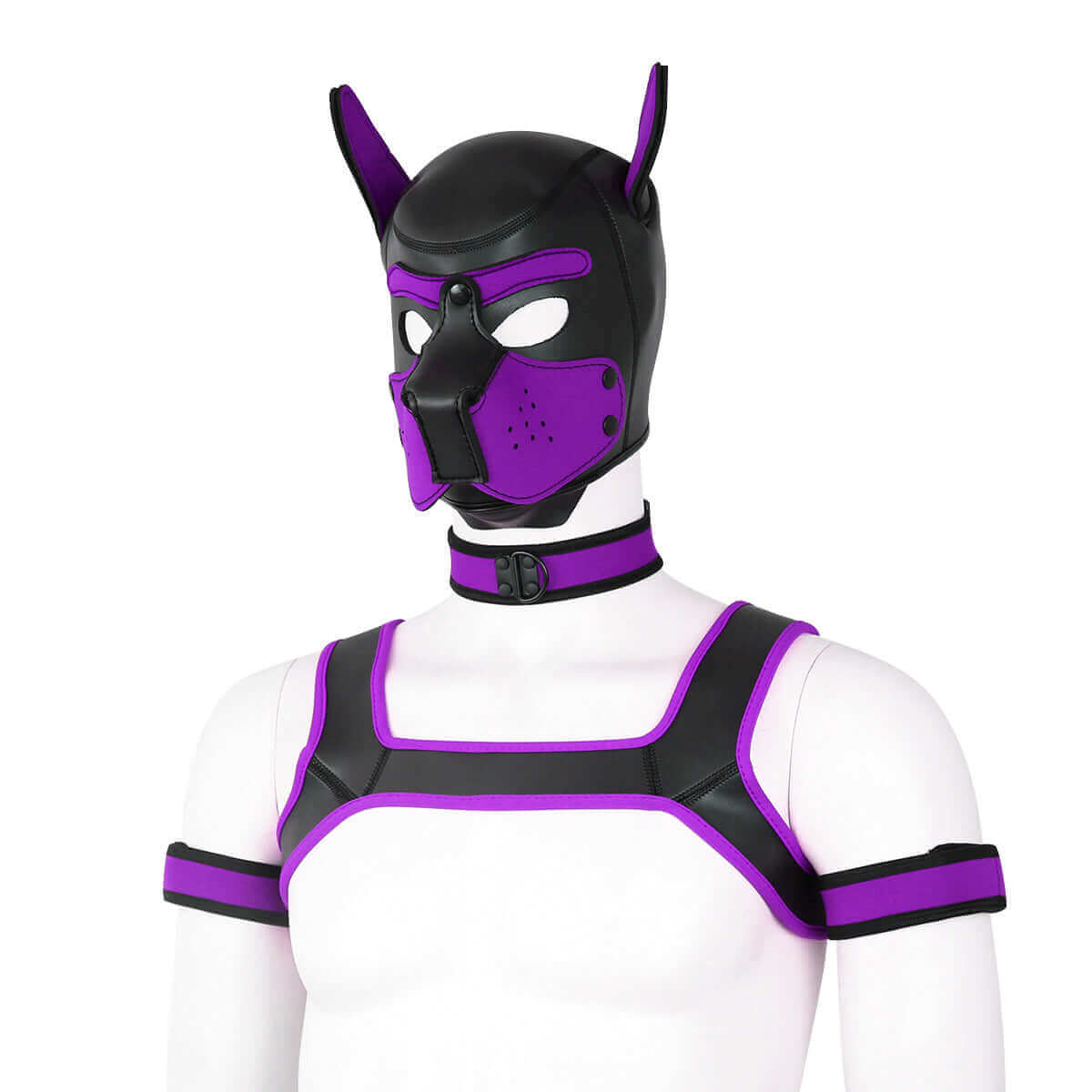 ALPHA PUP HOOD SET - Purple & Black