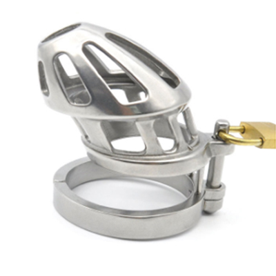 Steel Breeze Chastity Cage